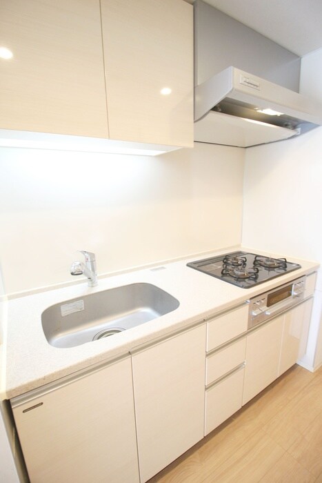 ＴＳレジデンス東川口の物件内観写真