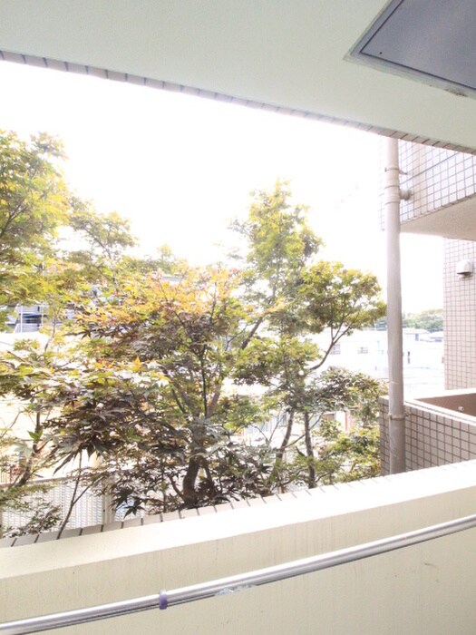 ジョイフル座間の物件内観写真