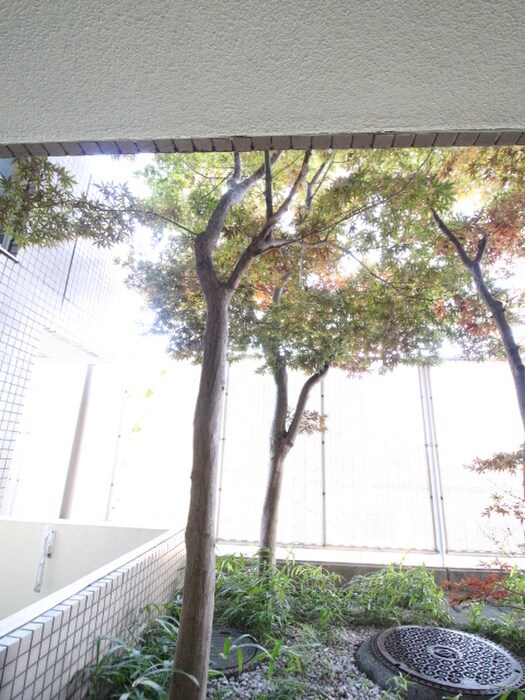 ジョイフル座間の物件内観写真