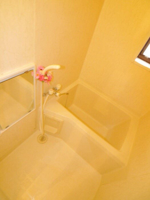 メゾン狭山Ａの物件内観写真