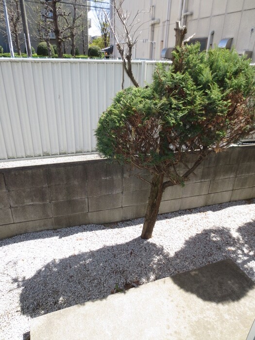 ｼﾞｭﾈﾊﾟﾚｽ松戸第156の物件内観写真