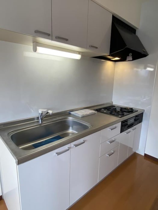 グリシ－ヌの物件内観写真