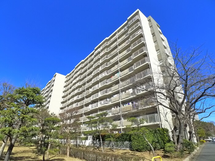 市川グリーンハイツＢ棟の物件外観写真