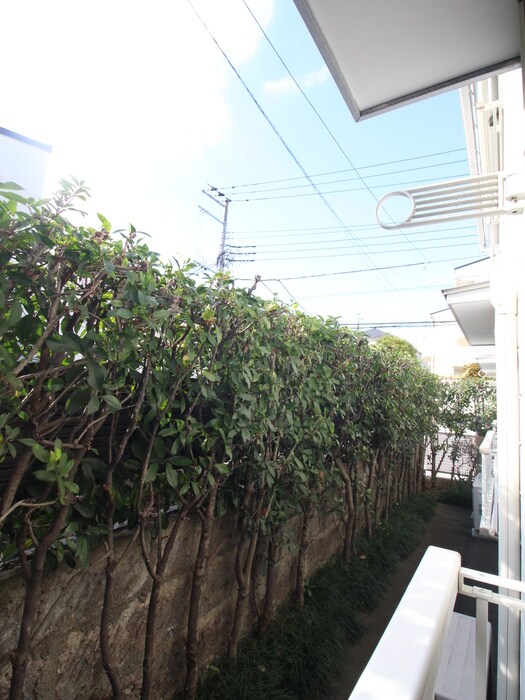 さくら・コンフォルトの物件内観写真