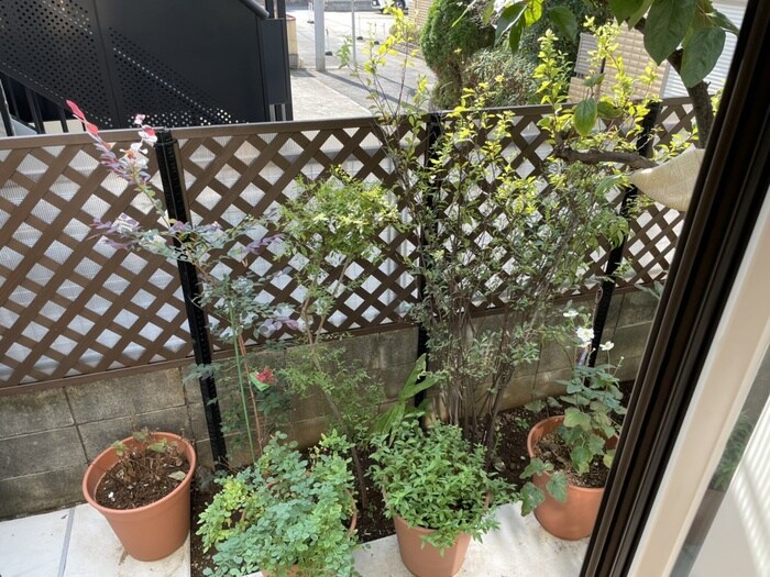 ＦＡＲＭ　ＨＯＵＳＥの物件内観写真