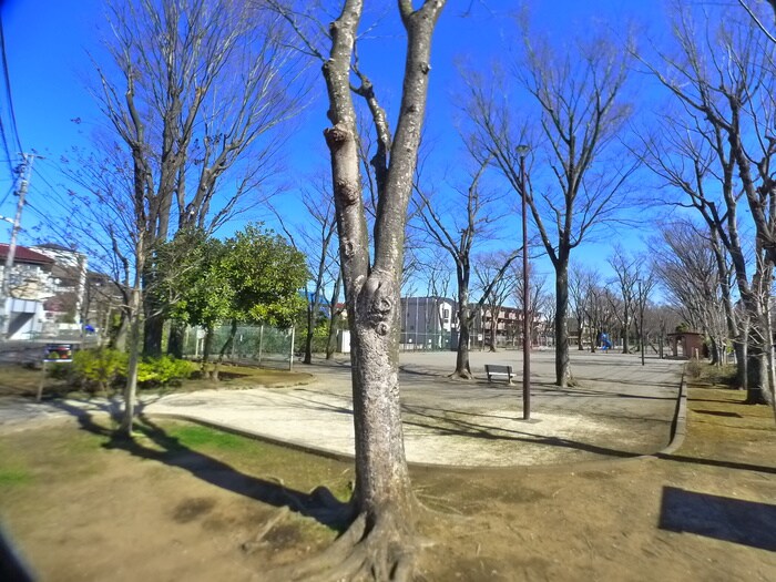 Maison de L`aileの物件外観写真