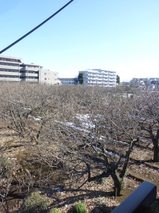 コ－ポワイケ－の物件内観写真