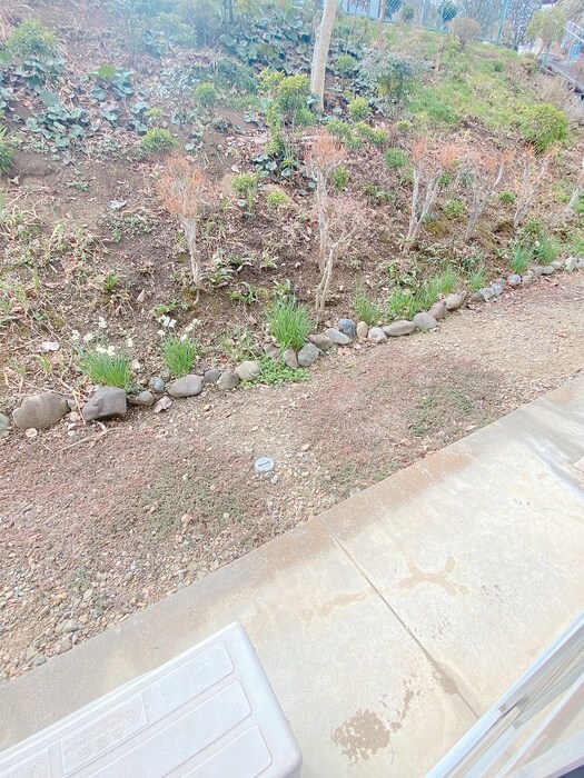 檜の森ハイツの物件内観写真