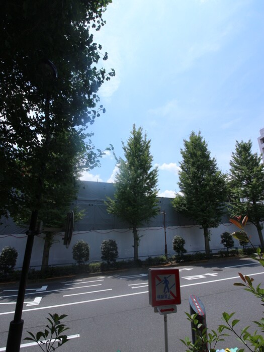 目白坂ｆｌａｔの物件内観写真