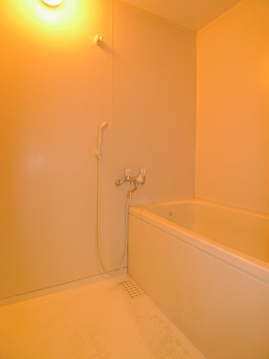 レイアップワン川口の物件内観写真