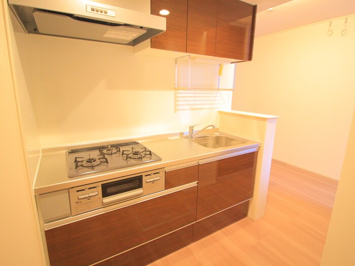 エクセリア徳丸Ⅰの物件内観写真