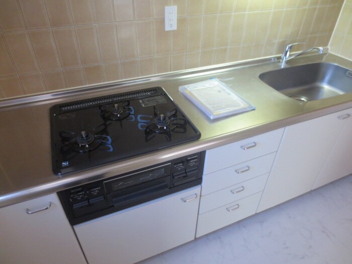 ウィルテラス南大塚（５０４）の物件内観写真