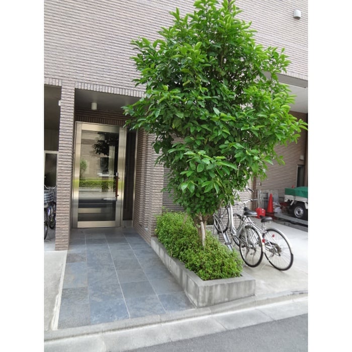 モノリスビルの物件外観写真