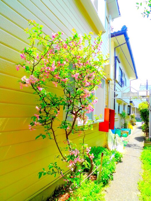 さくらハイムの物件外観写真