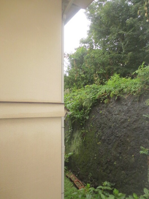 パールハイムＣの物件内観写真