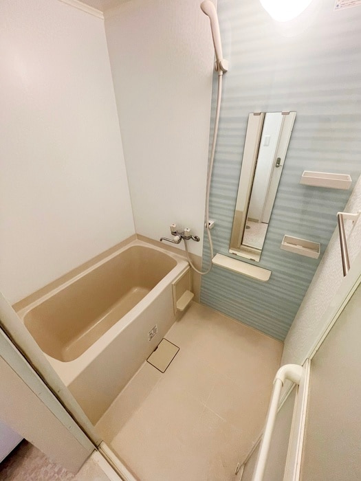 ﾛｰｽﾞﾏﾝｼｮﾝR＆Aの物件内観写真