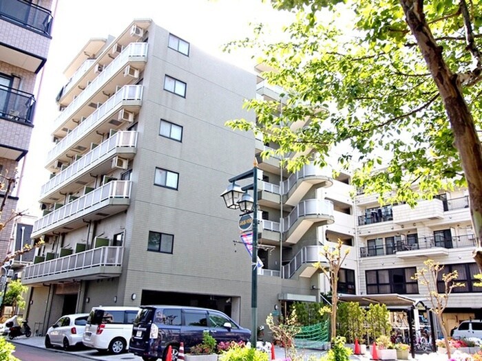 桃園ヴィレッジ（505）の物件外観写真