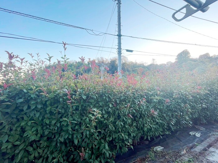 ソレイユ・Aの物件内観写真