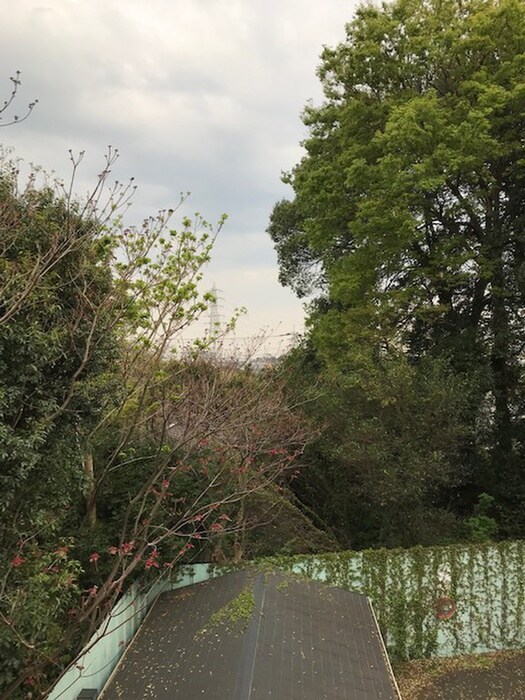 サンライフ大和田の物件内観写真