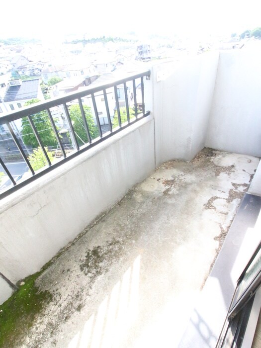 アルカディア・アベニューの物件内観写真