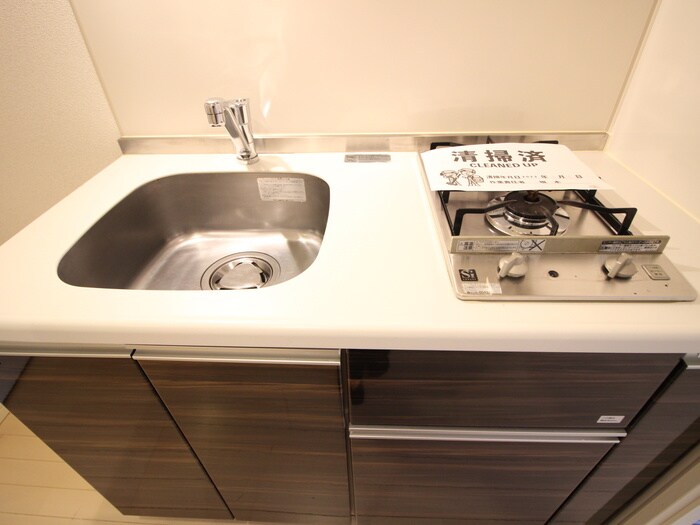 NISHI IKEBUKURO RESIDENCE(401)の物件内観写真