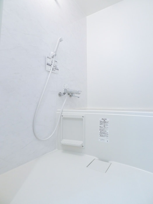 コンソラータ亀有の物件内観写真