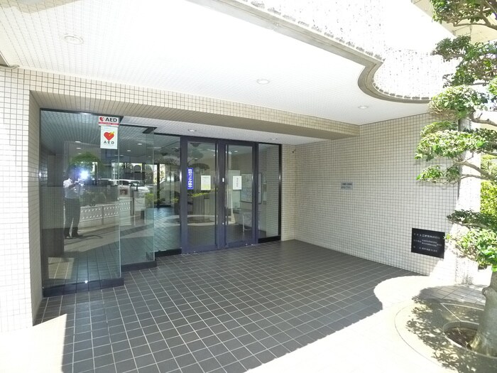 グリ－ンコ－ポ五香（８０４）の物件外観写真