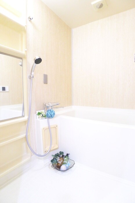 グリ－ンコ－ポ五香（８０４）の物件内観写真