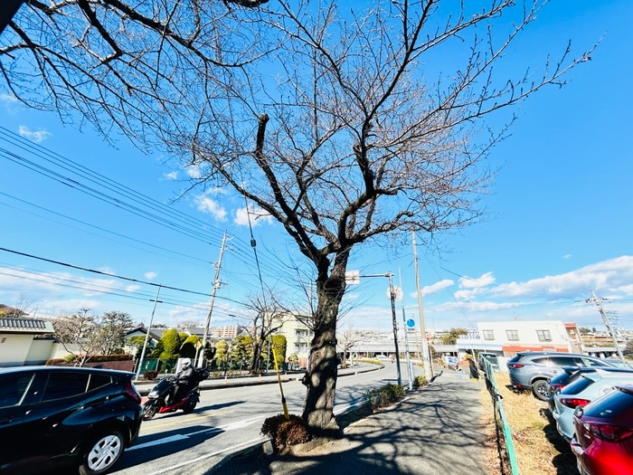 ファーストＳ・Ｓの物件外観写真