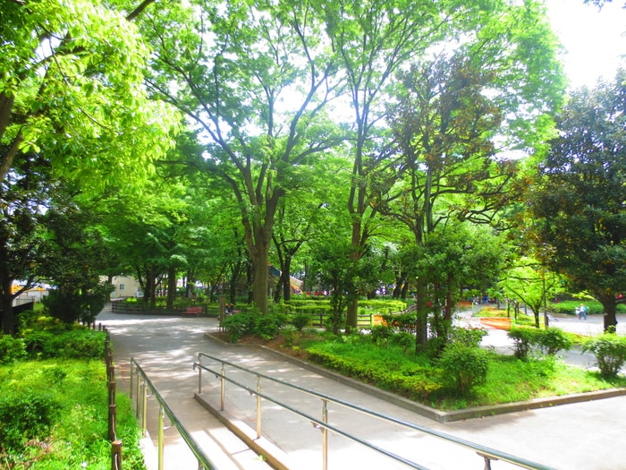 ＮＣＲｅ新宿中央公園の物件外観写真