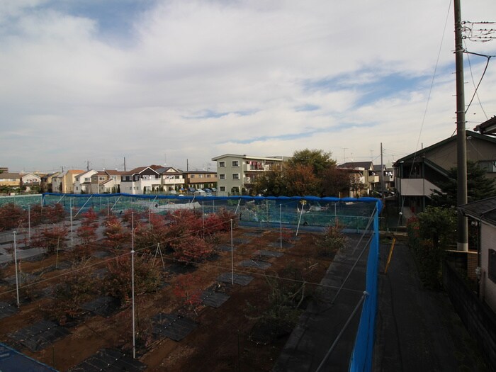 サンボナ－ルの物件内観写真