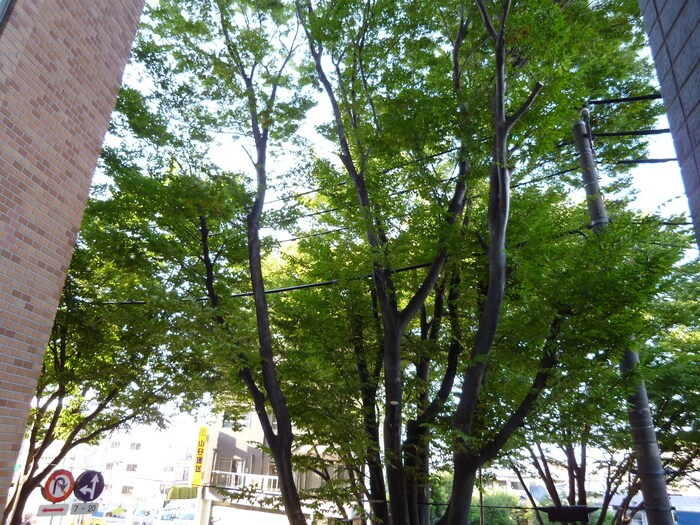 フォーチュンドゥミールの物件内観写真