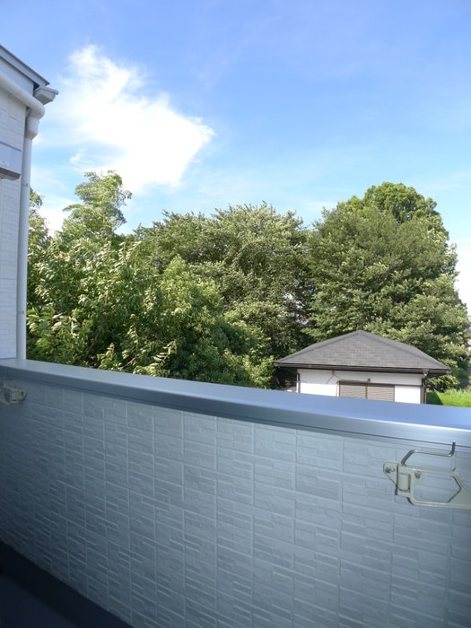 トトロヒルズの物件内観写真