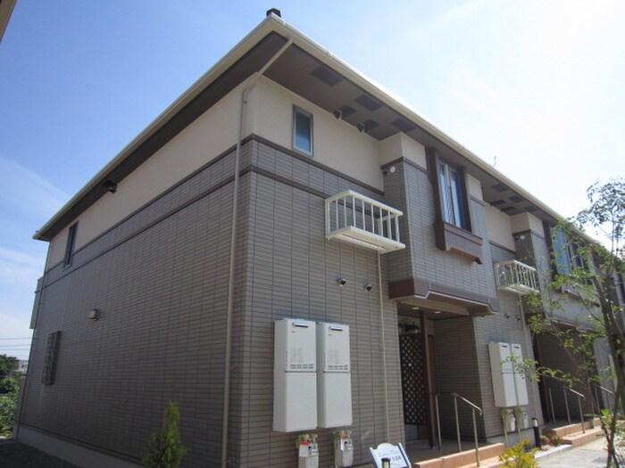 Cotton　Ｒose参番館の物件外観写真