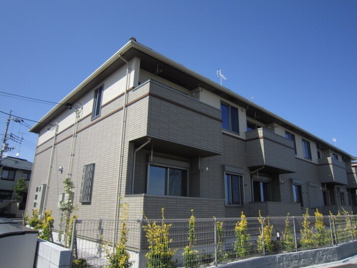 Cotton　Ｒose参番館の物件外観写真