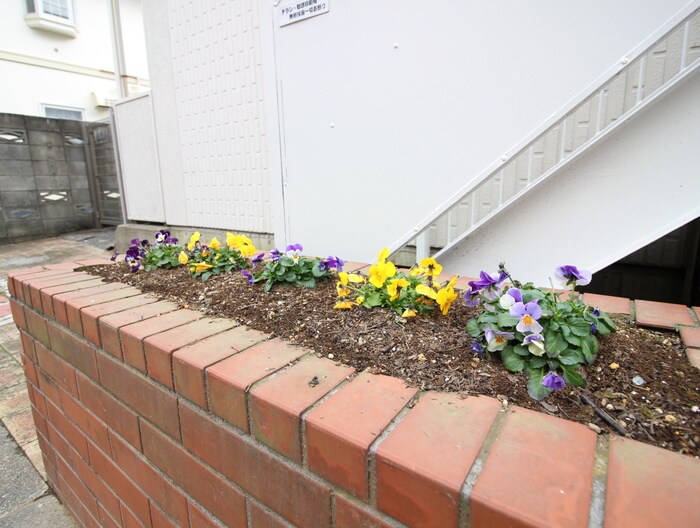 シティーハイムMIZUKOUの物件外観写真