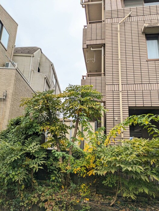 IXIA梶ヶ谷の物件内観写真