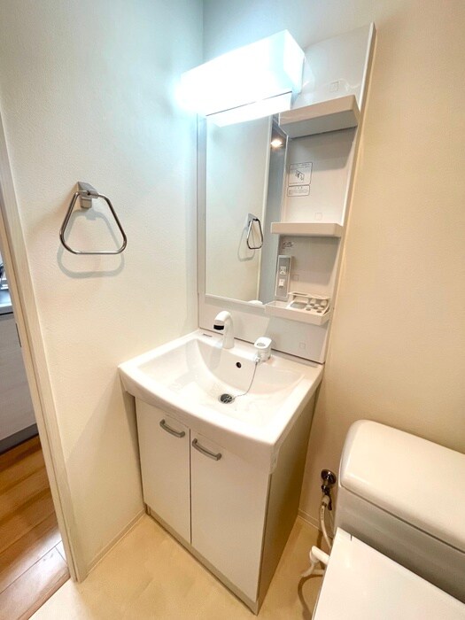 レピュア雪谷レジデンスの物件内観写真