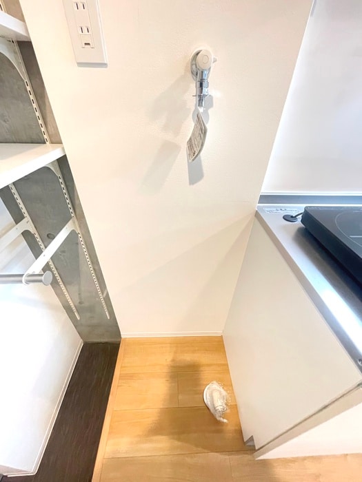 レピュア雪谷レジデンスの物件内観写真