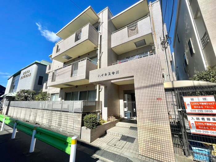 ハイネス今川の物件外観写真