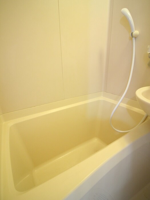 藤掛荘の物件内観写真