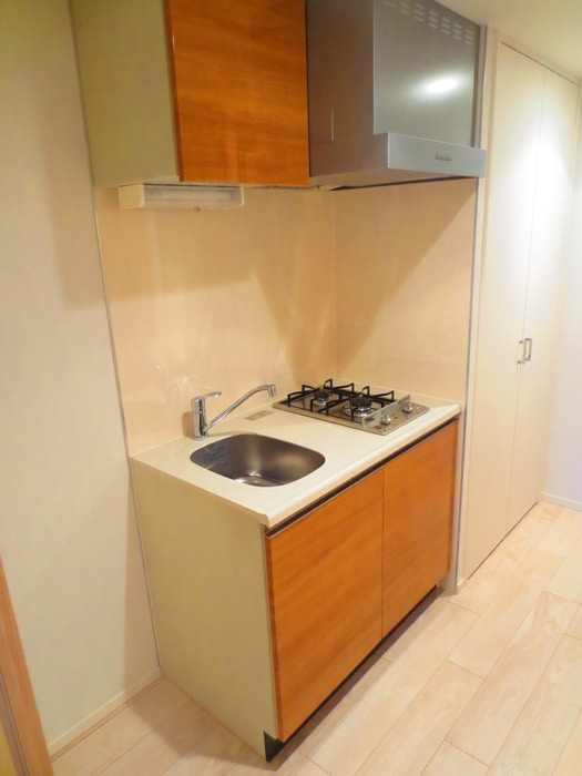 レジディア高円寺の物件内観写真