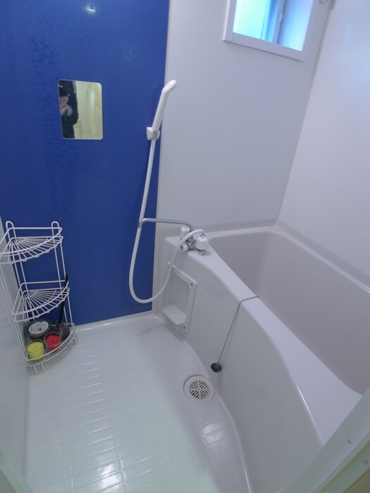 ｄｅｌａｓｓｅの物件内観写真