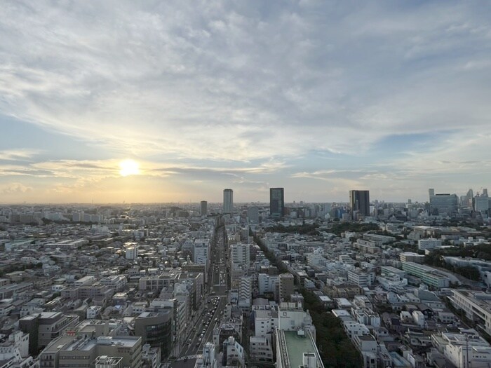 中目黒アトラスタワー(2911)の物件内観写真