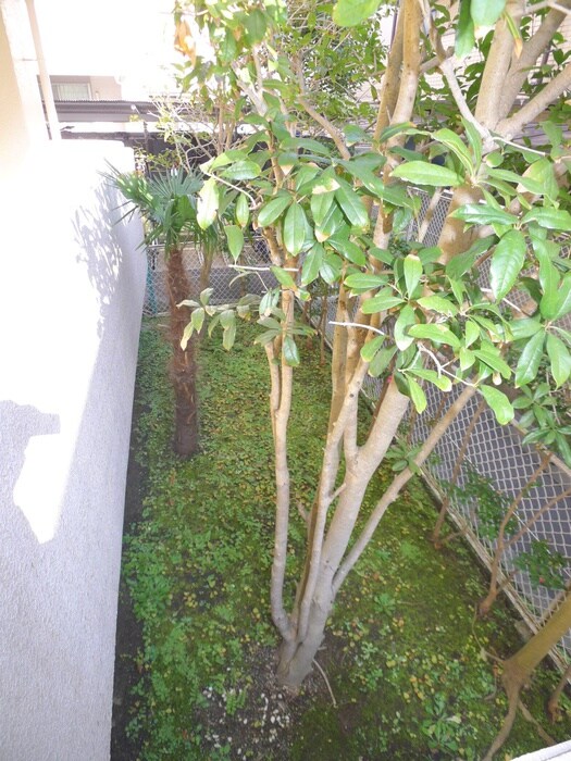 ＬＥＯ拾八番館の物件内観写真