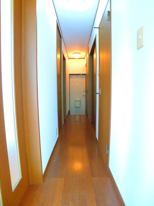 メゾン・ラフィーネⅡの物件内観写真