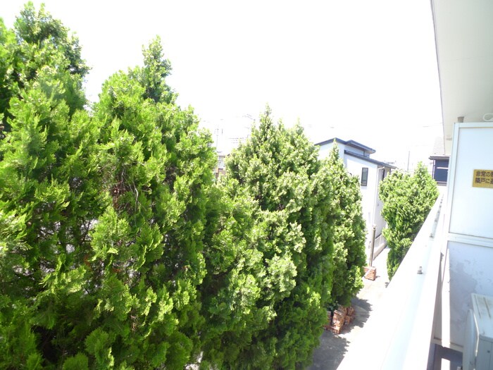 ヒルズ武蔵野の物件内観写真