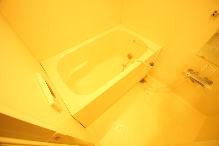 Ｃｈａｓｔａｎｅａの物件内観写真