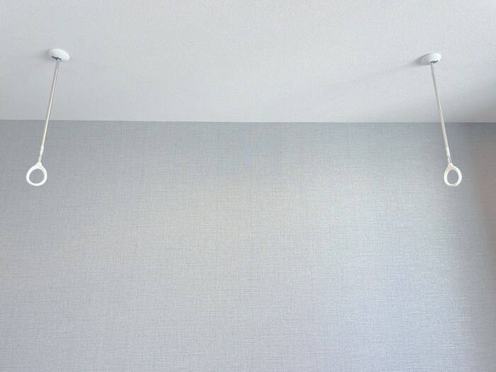 ロスマリーノ　東川口の物件内観写真