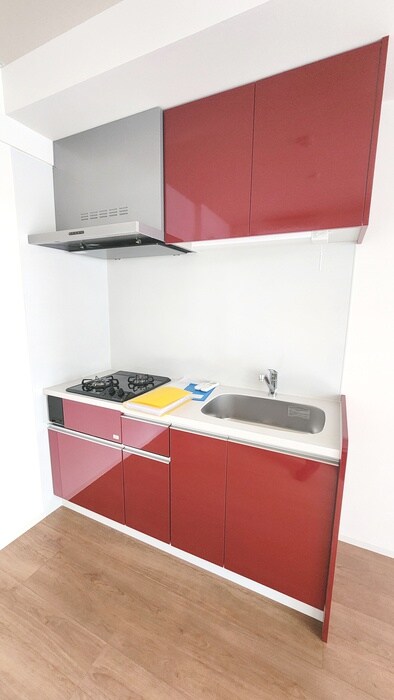 ルミアージュ登戸の物件内観写真